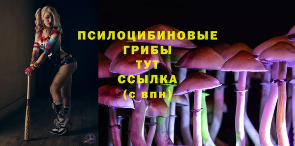 таблы Каменногорск