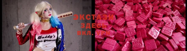 ECSTASY Каменка