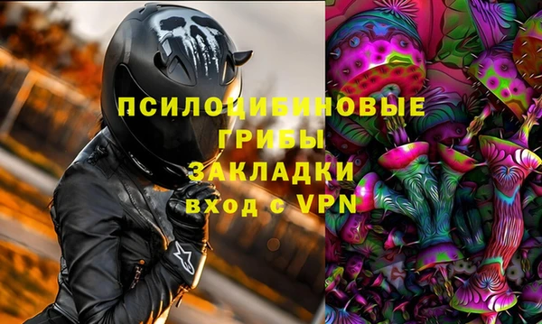 ECSTASY Каменка