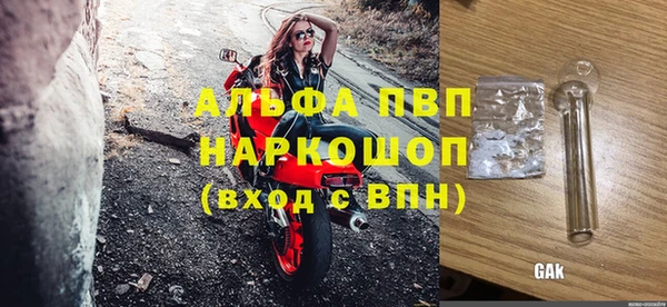 ECSTASY Каменка